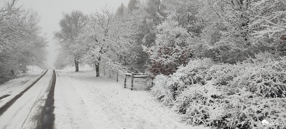 Karácsonyi hó a Zselicben.
