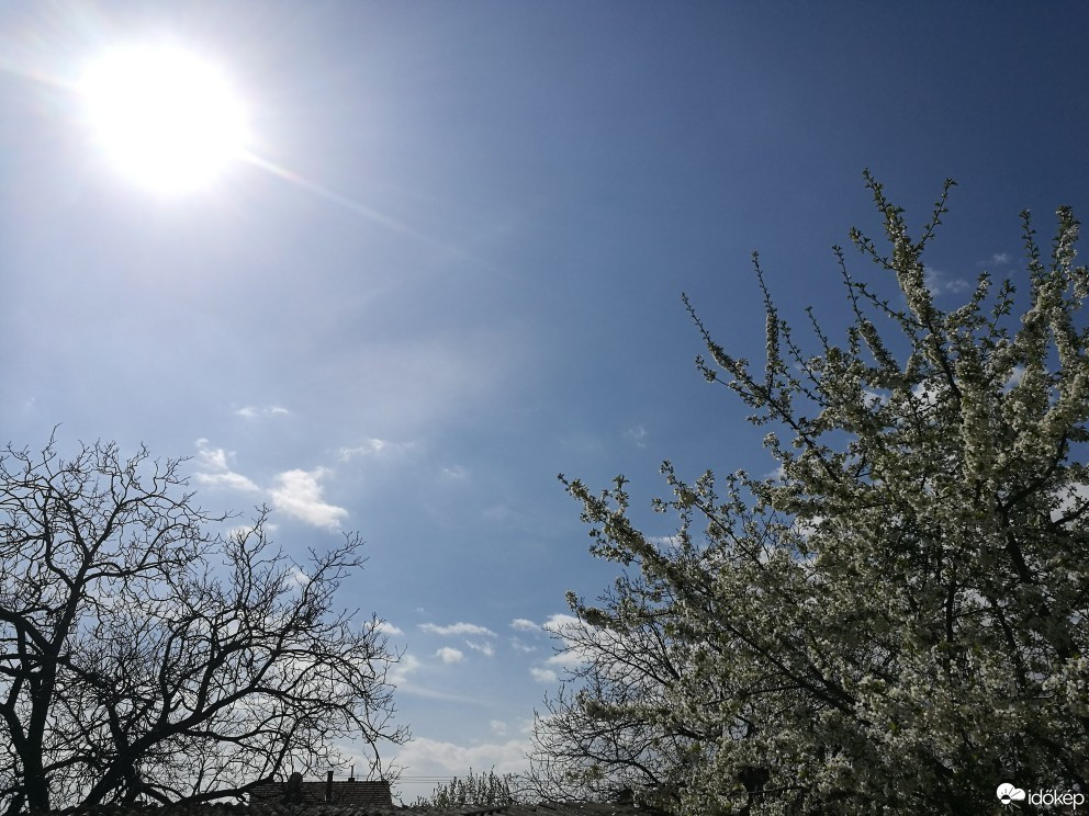 Észlelési fényképek