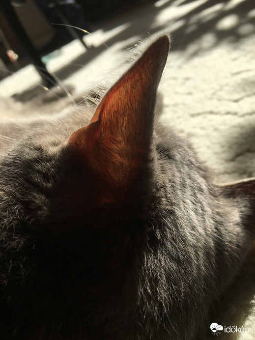 ÉRtelek, de nem ÉRdekel