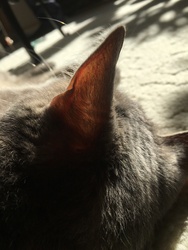 ÉRtelek, de nem ÉRdekel