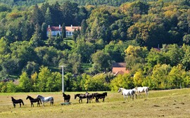 Lépésenként közeleg az ősz 