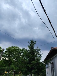Kismarja