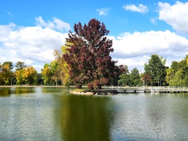Beköszöntött az ősz Abaligetre