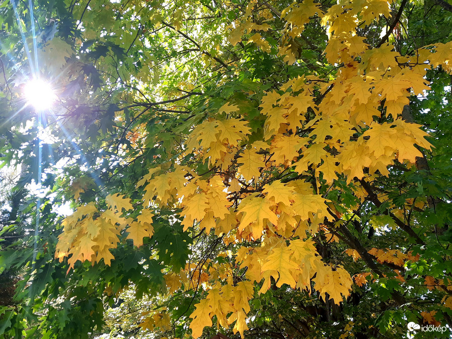 Beköszöntött az ősz Abaligetre