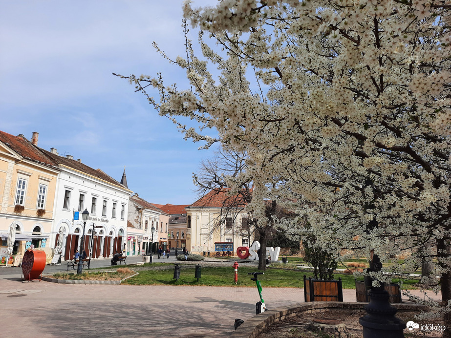Székesfehérvári tavasz