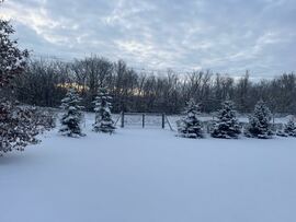 Jászfelsőszentgyörgy