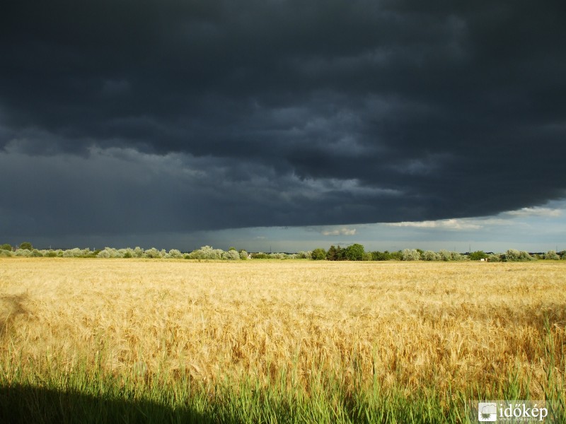 Székesfehérvár 2011.06.19. 