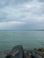 Balatonaliga