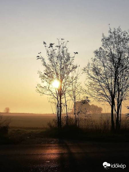 Nagyhalász