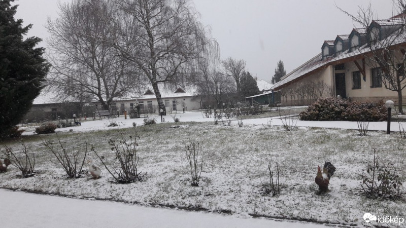 Észlelési fényképek