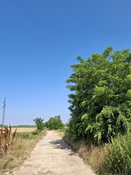Környe
