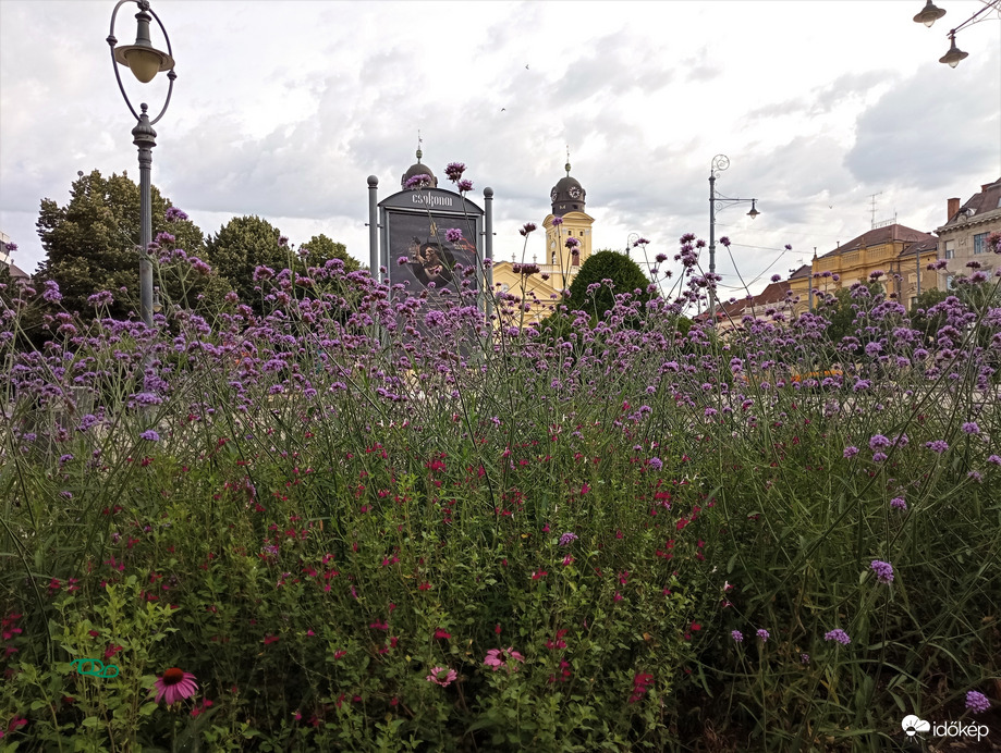 Virágos Debrecen