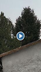 Újév első napján nagy pelyhekben hull a hó 